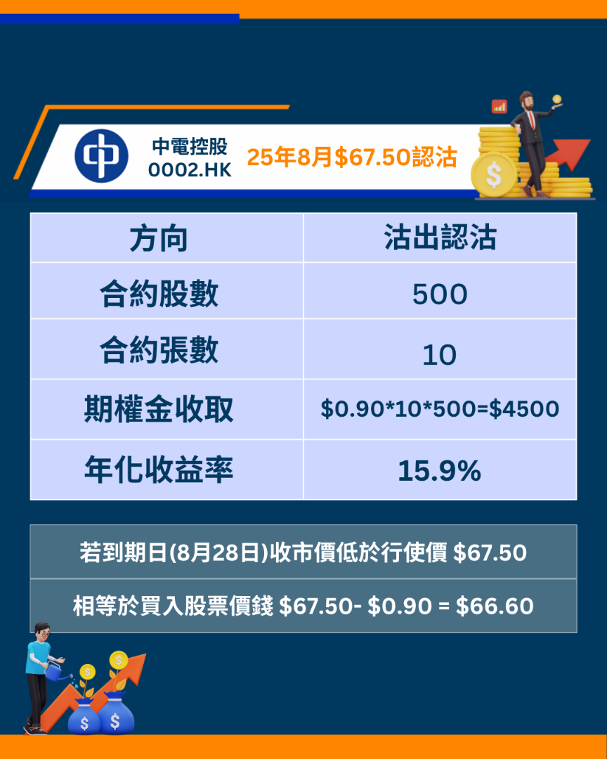 中电控股2期权短评